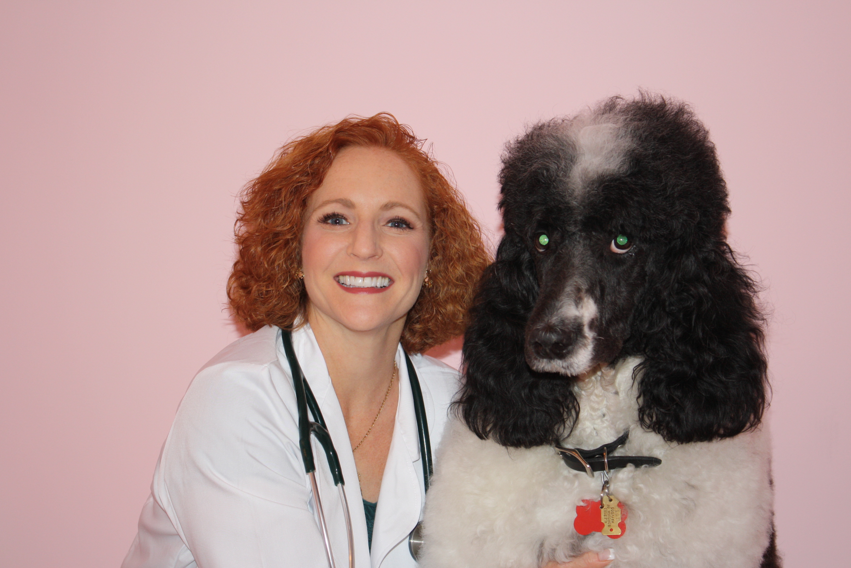 doterra digestzen for dogs